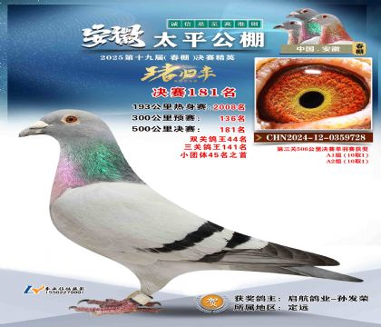 ̫ƽ?jng)Qِ181