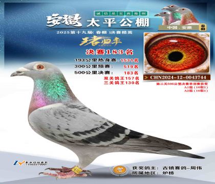 ̫ƽ?jng)Qِ183