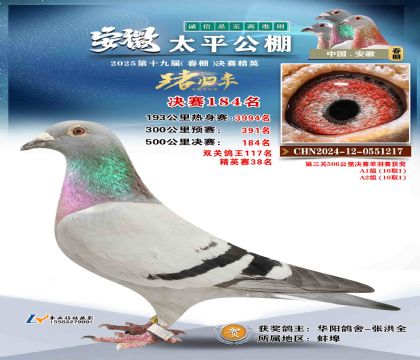 ̫ƽ?jng)Qِ184