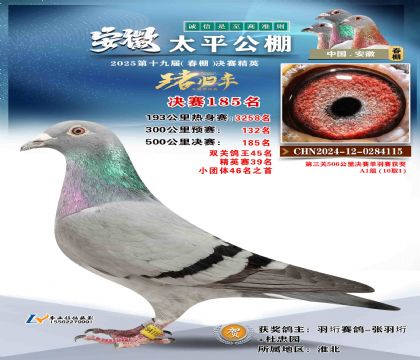 ̫ƽ?jng)Qِ185
