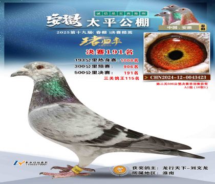 ̫ƽ?jng)Qِ191