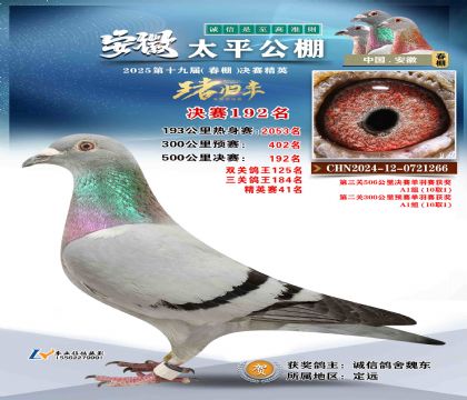 ̫ƽ?jng)Qِ192