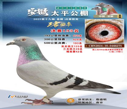 ̫ƽ?jng)Qِ193