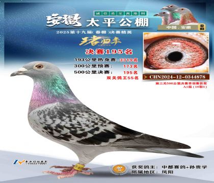 ̫ƽ?jng)Qِ195