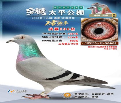 ̫ƽ?jng)Qِ196