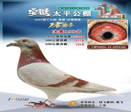 ̫ƽ?jng)Qِ198