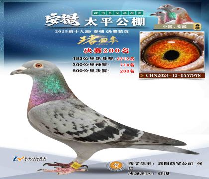 ̫ƽ?jng)Qِ200