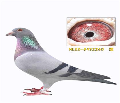 M(fi)ٛ(zng)ϲ