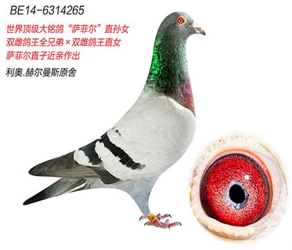 ĸH