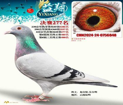 Qِ277