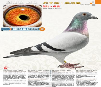 _Դٹ܊Ӵ_ԴP(gun)8λֵ