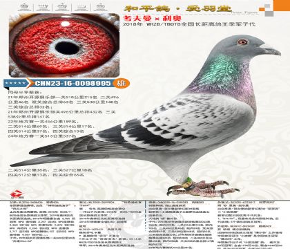 W䌦壨_С۴ƣ