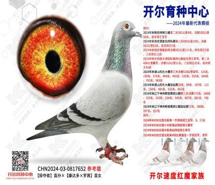ӊZֱO__硱ֱŮ