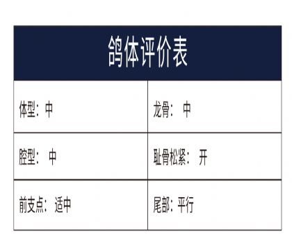 0809658yu