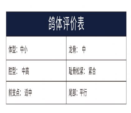 0815887yu