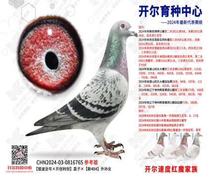 y̖_(chung)ֱӡ484OŮ