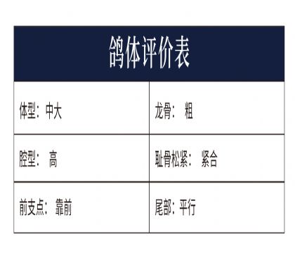 0808164yu