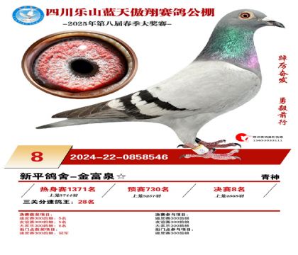 四川藍(lán)天傲翔決賽8名
