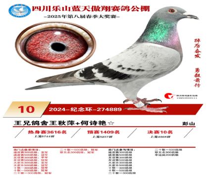 四川藍(lán)天傲翔決賽10名