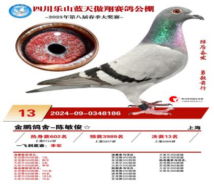 四川藍(lán)天傲翔決賽13名