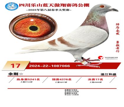 四川藍(lán)天傲翔決賽17名
