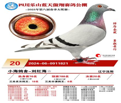 四川藍(lán)天傲翔決賽20名