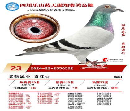 四川藍(lán)天傲翔決賽23名