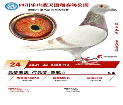 四川藍(lán)天傲翔決賽24名