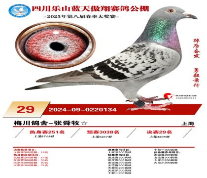 四川藍(lán)天傲翔決賽29名
