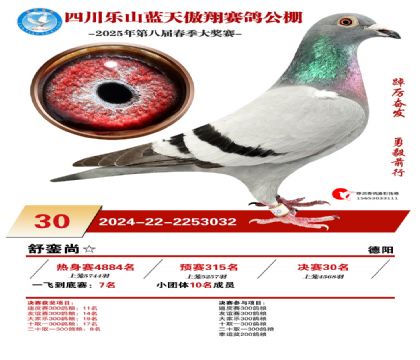四川藍(lán)天傲翔決賽30名