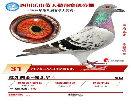 四川藍(lán)天傲翔決賽31名