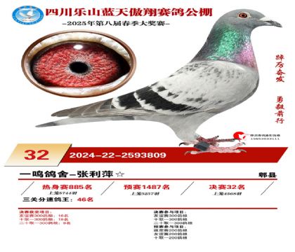 四川藍(lán)天傲翔決賽32名