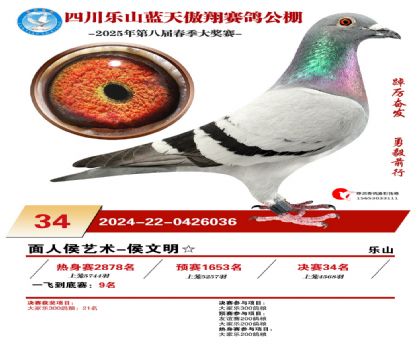 四川藍(lán)天傲翔決賽34名
