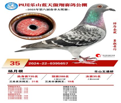 四川藍(lán)天傲翔決賽35名