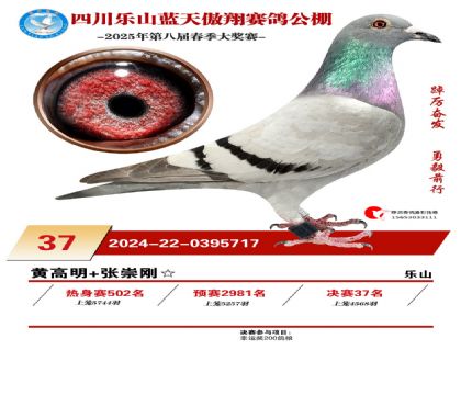 四川藍(lán)天傲翔決賽37名