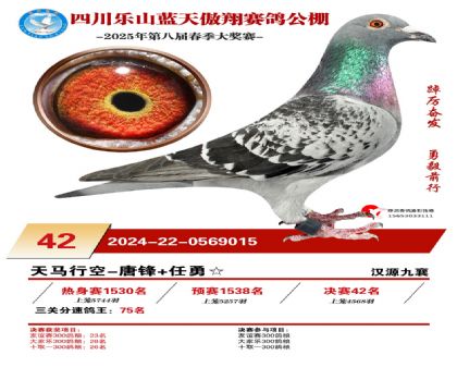 四川藍(lán)天傲翔決賽42名