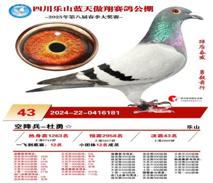 四川藍(lán)天傲翔決賽43名