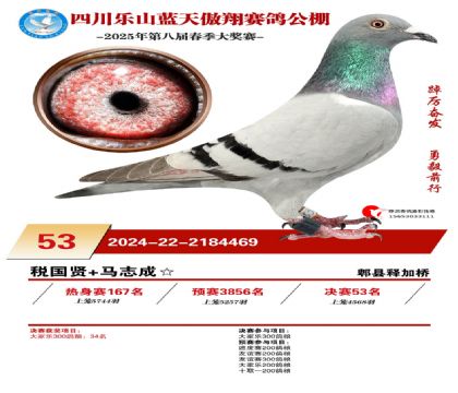 四川藍(lán)天傲翔決賽53名
