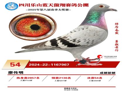 四川藍(lán)天傲翔決賽54名