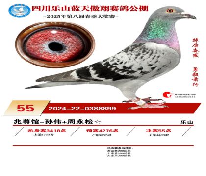 四川藍(lán)天傲翔決賽55名