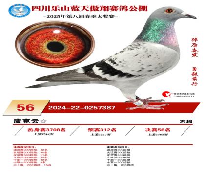 四川藍(lán)天傲翔決賽56名