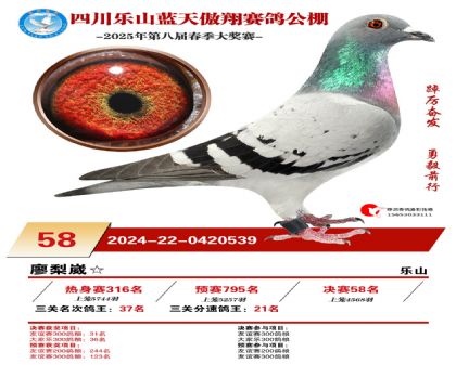 四川藍(lán)天傲翔決賽58名