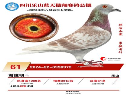 四川藍(lán)天傲翔決賽61名