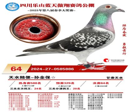 四川藍(lán)天傲翔決賽64名