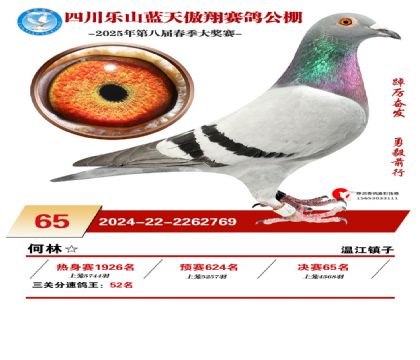 四川藍(lán)天傲翔決賽65名