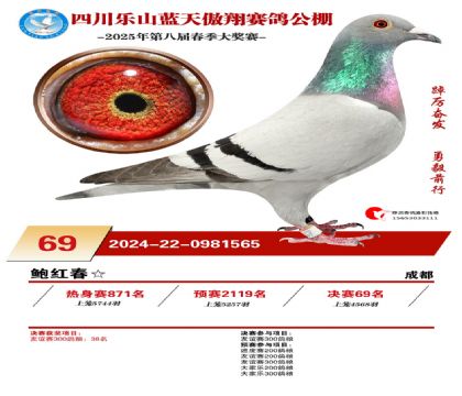 四川藍(lán)天傲翔決賽69名