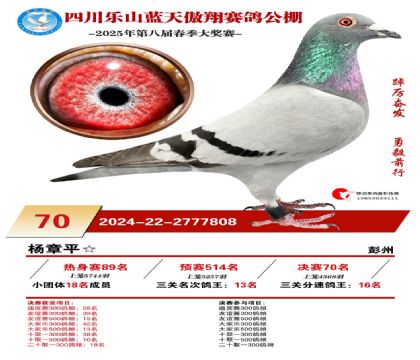 四川藍(lán)天傲翔決賽70名