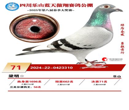 四川藍(lán)天傲翔決賽71名