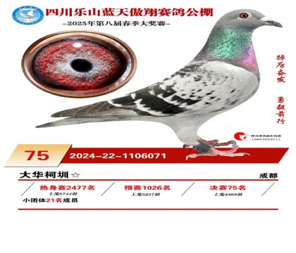四川藍(lán)天傲翔決賽75名