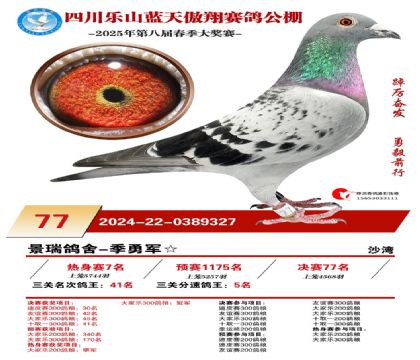 四川藍(lán)天傲翔決賽77名